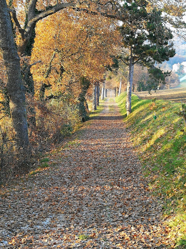 Parco San Paolino 